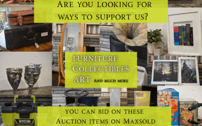 Frog in Hand Online Auction Now Live! Support our Summer Season!